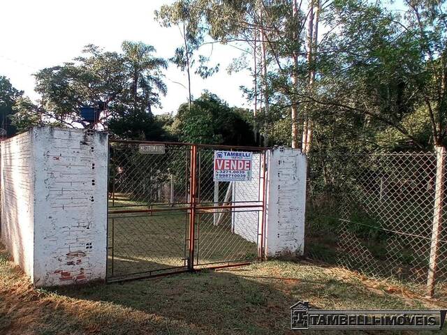 #329 - Chácara para Venda em Itapetininga - SP - 1