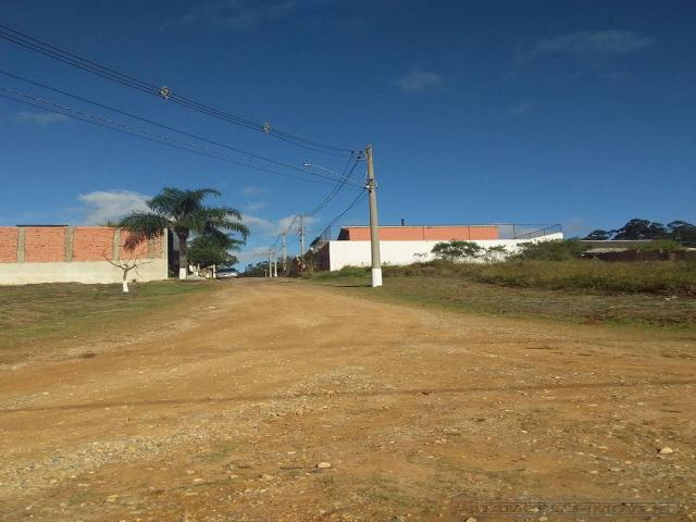  para  em  - 5