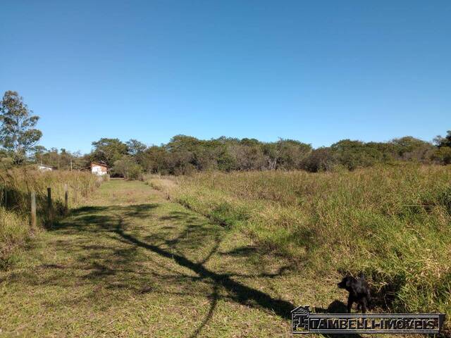 Venda em BAIRRO DO PORTO - Itapetininga