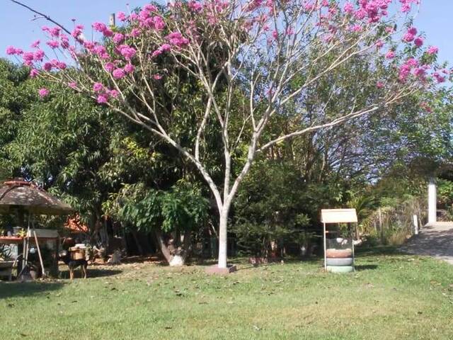 Chácara para Venda em Sarapuí - 5