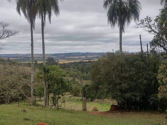 #513 - Chácara para Venda em Itapetininga - SP - 2