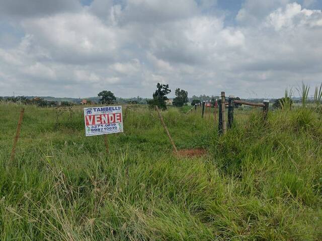 #515 - Sítio para Venda em Itapetininga - SP - 3