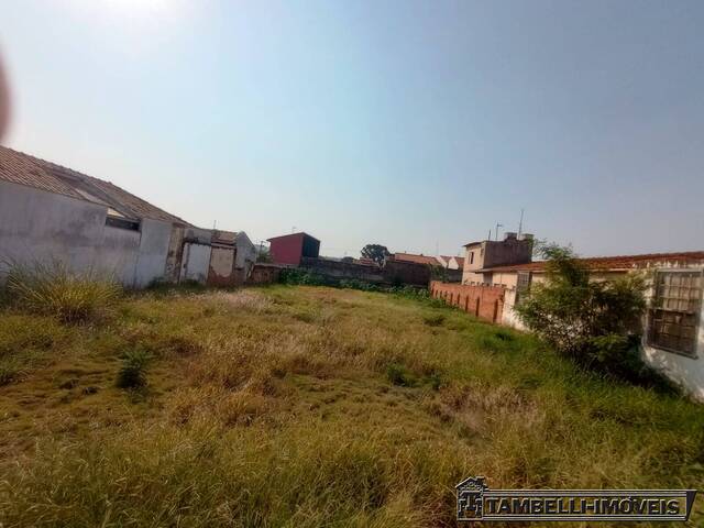 Área para Venda em Itapetininga - 5