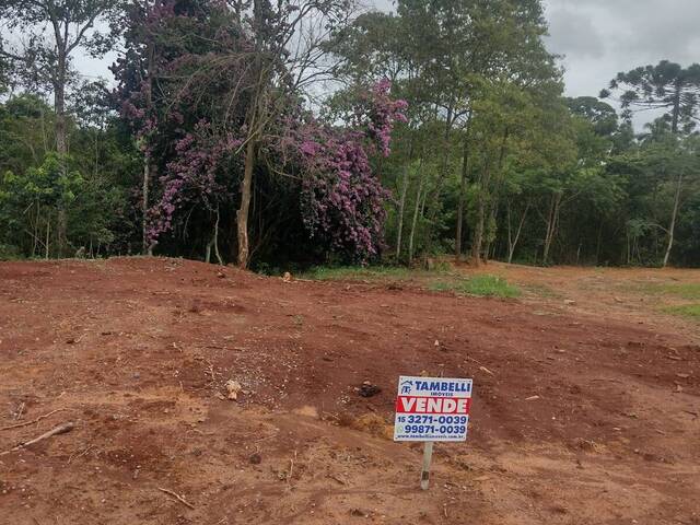 Área para Venda em Itapetininga - 4