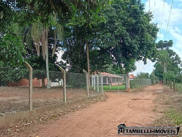 #670 - Chácara para Venda em Itapetininga - SP - 3